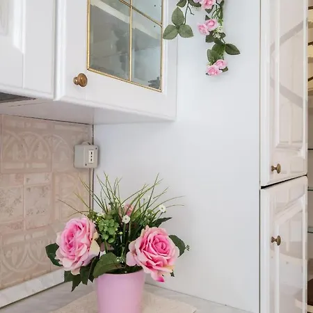 Apartment ⭑⭑⭑⭑⭑la Perla Rosa Nel Centro Storico A *